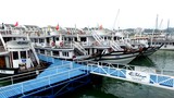 Du khách và doanh nghiệp phản ứng việc thu phí qua cảng Tuần Châu