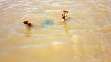 Ba mẹ con chết đuối thương tâm khi tắm suối ở Thái Nguyên