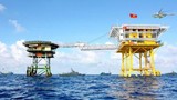 Hội Nghề cá VN phản đối nhóm tàu HD8 vi phạm chủ quyền vùng biển Việt Nam