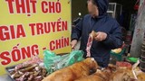 Hội An tẩy chay thịt chó: Cấm trên giấy mãi chỉ là …“hô hào“