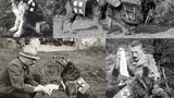 Mercy dog - Những người hùng thầm lặng trong Thế chiến thứ nhất