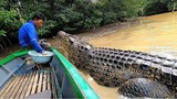  Tình bạn kỳ lạ 26 năm giữa một ngư dân Indonesia với cá sấu 