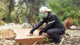 Sơn La: Nhận diện lâm tặc ngang nhiên phá rừng Chiềng Khừa