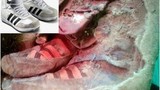 Bàng hoàng xác ướp 1.500 tuổi mang giày... Adidas