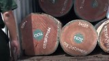 Video: Bất ngờ bên trong những container ngụy trang tinh vi ở cảng Cát Lái