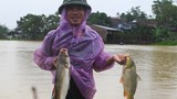 Người dân ngoại thành Hà Nội ra đường bắt cá trong nước lũ