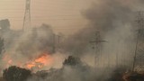 Cháy rừng làm ít nhất 51 người chết, Chile ban bố tình trạng khẩn cấp 