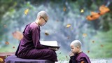 Phật dạy: Buông bỏ được 5 thứ, cuộc đời sẽ thuận lợi an nhiên