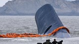 Vụ chìm phà thảm khốc Hàn Quốc: Sewol đã chìm hoàn toàn