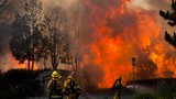 Kinh hoàng cháy rừng bao phủ California