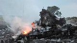 Danh tính 3 mẹ con người Việt trên máy bay MH17 bị bắn rơi