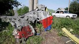 Chuyên gia Đức: MH17 bị Su-25 bắn vào buồng lái?