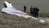Liên hiệp kỹ sư Nga: MH17 bị tên lửa không-đối-không bắn rơi