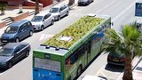Dự án kỳ lạ: Trồng cây trên nóc... xe bus