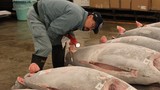Ảnh độc phiên đấu giá cá ngừ nổi tiếng Nhật Bản