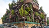 Mê mẩn kiến trúc nhà cây độc đáo