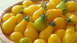 Hình ảnh cà chua lê vàng gây sốt thị trường