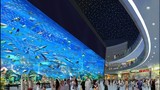 Hình ảnh choáng trong TTTM siêu khủng Dubai Mall