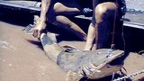 Thích thú chuyện đi săn “thủy quái” của các ngư dân Việt