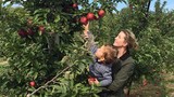 Ngắm vườn rau trái tươi tốt của ái nữ Tổng thống Donald Trump