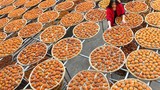 Bên trong khu chế biến hồng sấy khô bắt mắt ở Trung Quốc