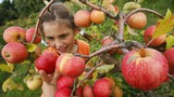 5 thực phẩm mùa thu có lợi ích sức khỏe tinh thần