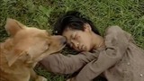 Bé An 'Đất phương Nam' và ký ức khi được chó Phèn cứu sống trong phim 