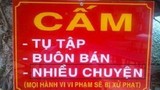 Ảnh độc chỉ có ở Việt Nam (18)