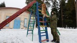 Cận cảnh chó nghiệp vụ được huấn luyện ở Nga