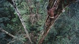 Khám phá bộ tộc ăn thịt người sống chót vót trên cây