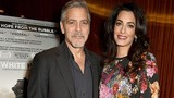 Vợ George Clooney mang thai đôi