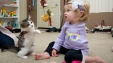 Tình bạn kỳ lạ giữa bé 2 tuổi và mèo cụt tay