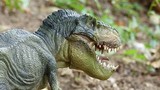 Phát hiện thú vị khủng long cũng từng có răng sữa 