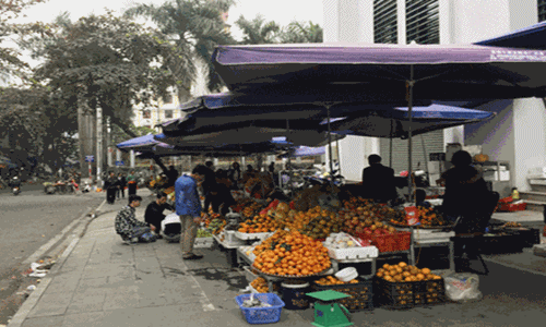 Đến hẹn lại lên, rau quả Trung Quốc ngập chợ Việt Nam