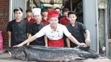 Cá tầm đen óng, nặng 100kg từ Nga “bay” về Hà Nội