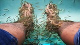10 năm không rửa chân, người đàn ông khiến cá trúng độc “chết sặc“