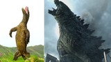 Rồng Komodo thể hiện sức mạnh đáng sợ không thua quái vật Godzilla