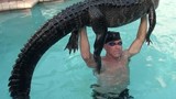 Thấy cá sấu trong bể bơi, người đàn ông làm chuyện ai cũng "khiếp"...