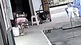 Video: Chị gái phản ứng kịp thời, cứu em trai thoát nạn trong gang tấc