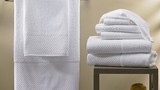 Không giặt khăn tắm 3 ngày, vi khuẩn lên tới 80 triệu con
