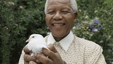 Những câu nói để đời của Nelson Mandela