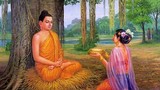 Tín tâm cúng dường Tăng Bảo