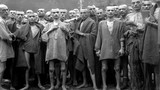 Sự thật đáng sợ về thảm họa diệt chủng Holocaust (4)