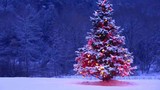 Vì sao cây Giáng sinh là cây hình chóp?