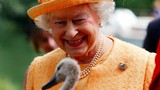 Bật mí những quyền lực tối cao của Nữ hoàng Elizabeth II