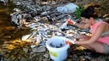 Độc chiêu xử lý cá chết hàng loạt trong lịch sử môi trường 