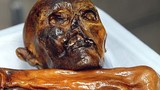 Bí mật xuyên thế kỷ về xác ướp lâu đời nhất châu Âu