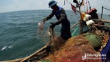 Đi “săn” loài cá bé tí, khó bắt, kiếm cả triệu đồng mỗi ngày