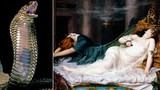 Giải mã cực sốc loài rắn độc cắn chết Nữ hoàng Cleopatra