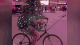 Video: Chàng trai hóa thành cây thông Noel, đạp xe quanh New York